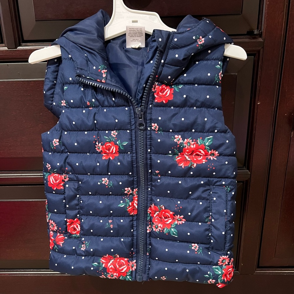 Puffy Hooded Vest